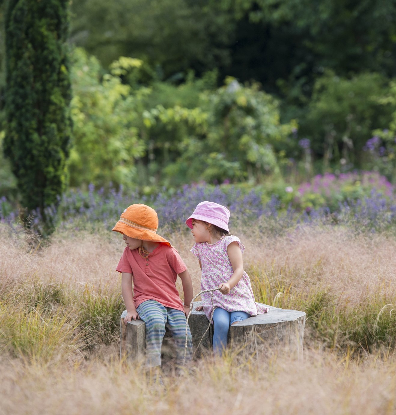 Family friendly activities for £10 or less in Cambridge this summer